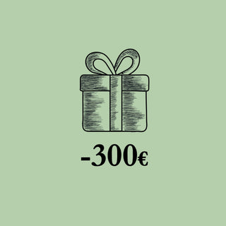 Gift ideas -300€