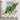 White Flower Pots