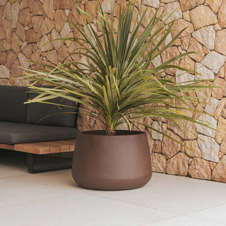 Brown Flower Pots