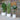 Terrace Planters