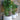 Best-selling flower pots