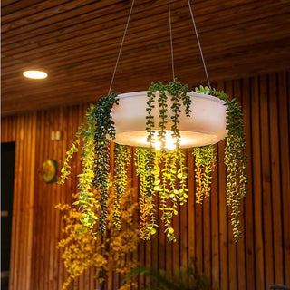 Hanging Planters