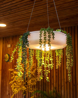 Hanging Planters