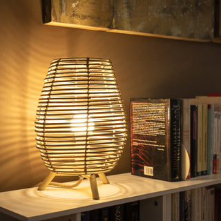 Indoor furniture, lighting and pots