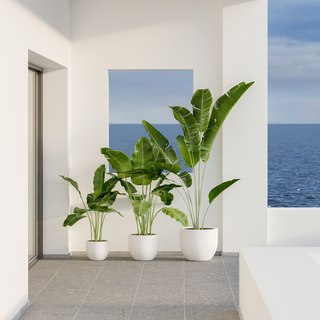 Pots and Planters