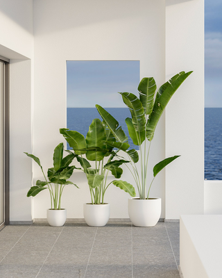 Pots and Planters