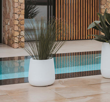 CAMELIA 40 color round flowerpot