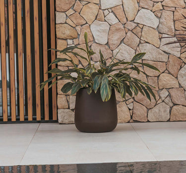 CAMELIA 40 color round flowerpot