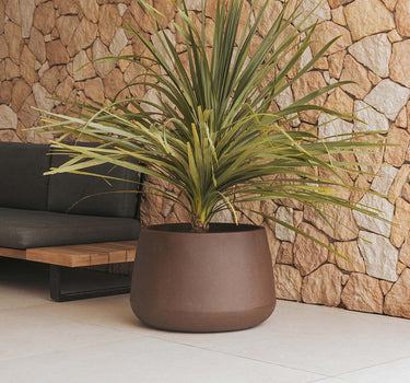 CAMELIA 60 color round flowerpot