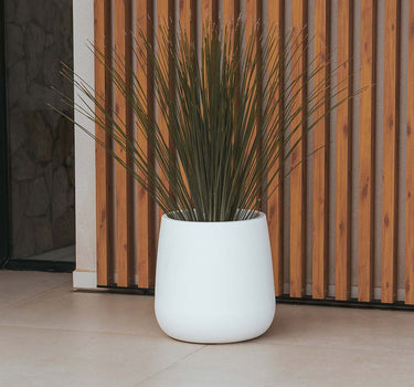 CAMELIA 40 color round flowerpot