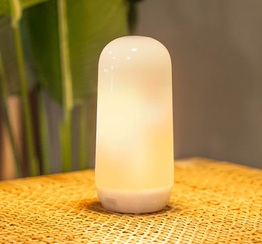 Portable light bulb with CANDY fixed/flame effect