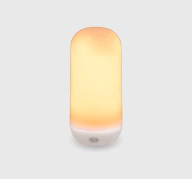 Portable light bulb with CANDY fixed/flame effect