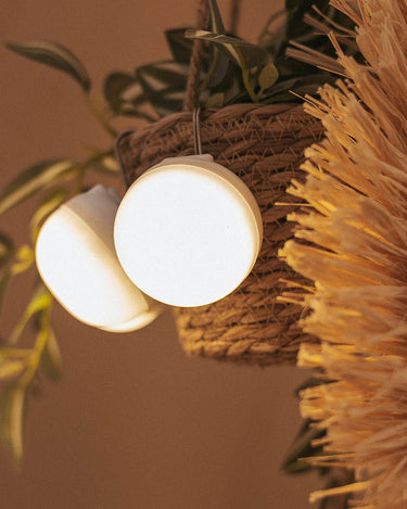 mini grow light bulb Newgarden Lumche060bxwlnw LED Lamp Brown
