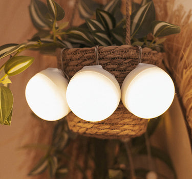 CHERRY MINI rechargeable portable light bulb (Pack of 3 bulbs)