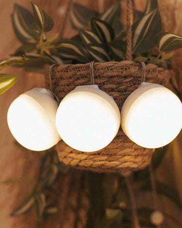 mini grow light bulbs Newgarden Lumche060bxwlnw LED Lamp Brown