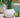 DALIA 50 color round flower pot