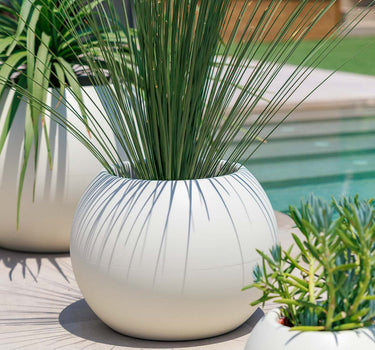 DALIA 50 color round flower pot