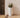 FICUS 60 color round flower pot