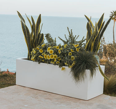 JARA rectangular color pot 100 x 35