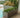 JARA rectangular color pot 100 x 40