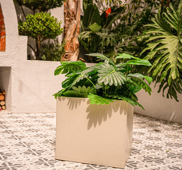 NARCISO 40 color square planter