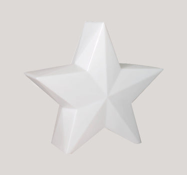 CHRISTMAS STAR NOVA 60