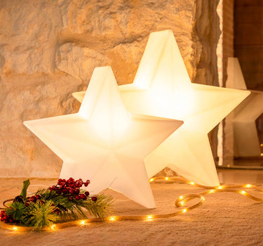 CHRISTMAS STAR NOVA 60