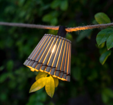 OKINAWA STRING LIGHT