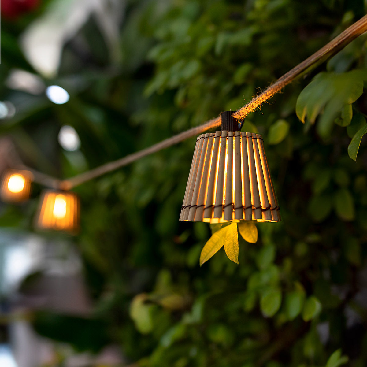 Outdoor String Light 26 Ft – Okinawa
