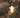 PANCHITO CHRISTMAS TABLE LAMP