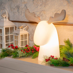 LED Christmas Reindeer Light Indoor Outdoor – Rudy