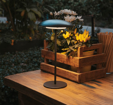SARDINIA 30 wireless decorative lamp