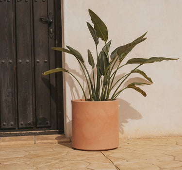 HORTENSIA 40 color round pot