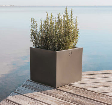 NARCISO 40 color square planter